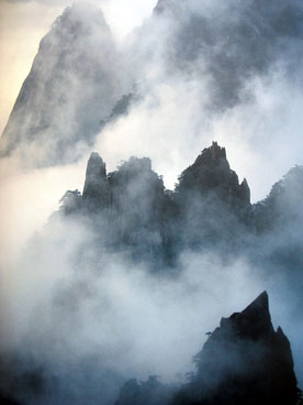 est-ce que c'est pas magnifique �a?