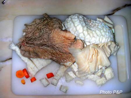 exhumation du schizo